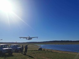 2023-09-29 SALAMANDRA II